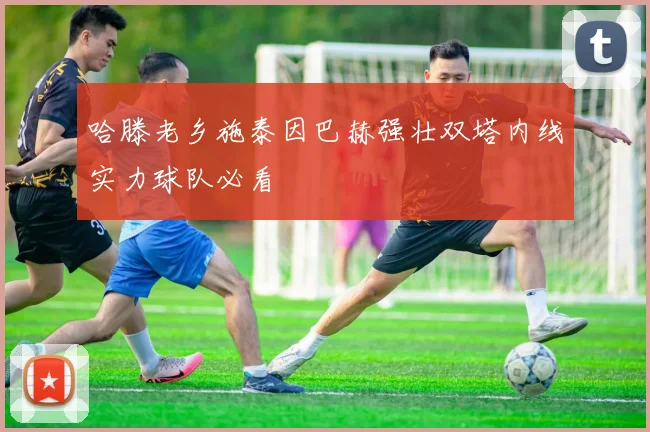 哈滕老乡施泰因巴赫强壮双塔内线实力球队必看