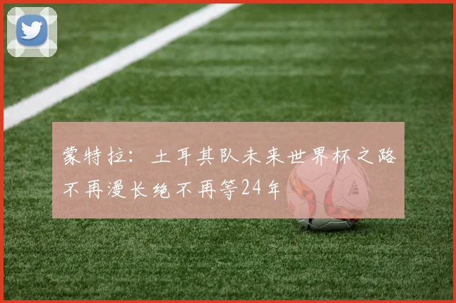 蒙特拉：土耳其队未来世界杯之路不再漫长绝不再等24年