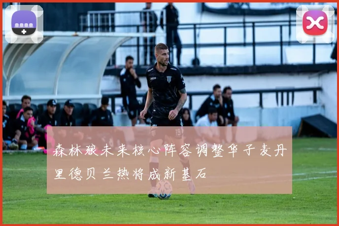 森林狼未来核心阵容调整华子麦丹里德贝兰热将成新基石